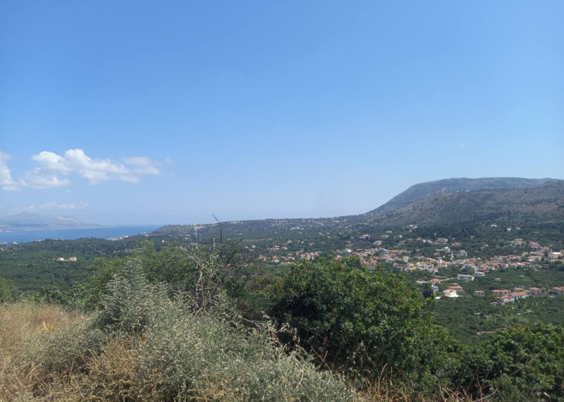 εικόνα_Viber_2023-06-13_13-15-51-342