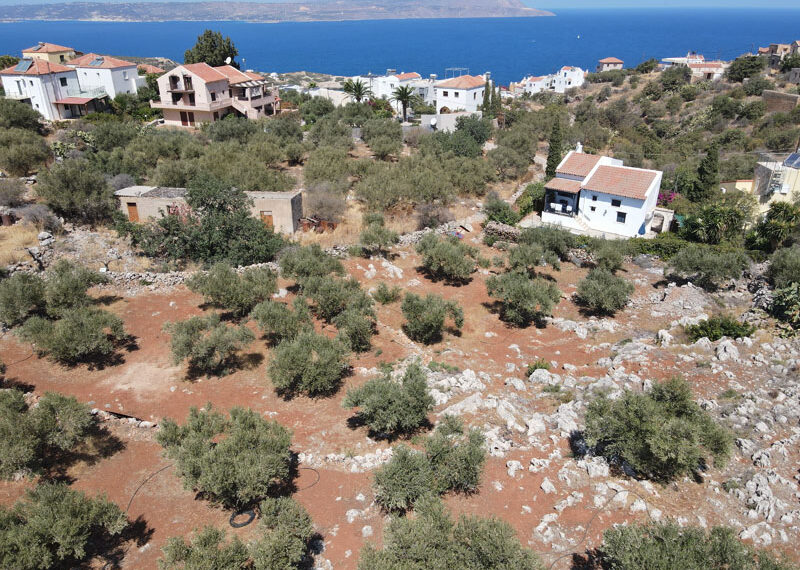default