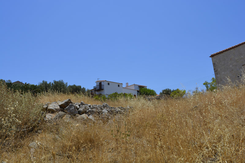 _DSC0220