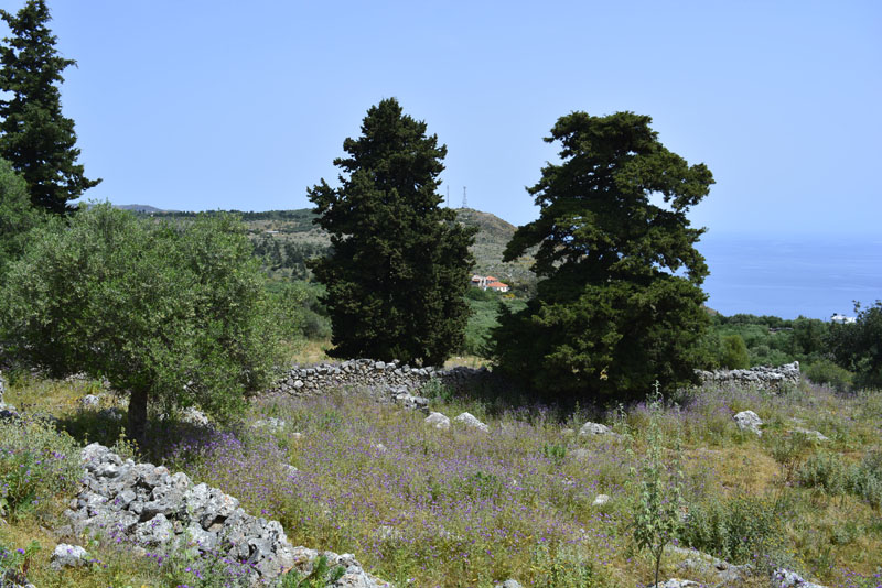 _DSC0910