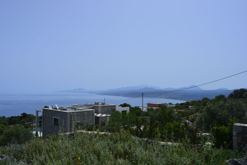 _DSC0924